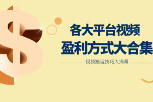 利用搬运二创在各大短视频平台获得收益，各大平台视频盈利方式大合集-麦资源网