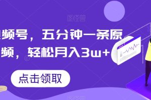 抖音视频号，五分钟一条原创视频，轻松月入3w+【独家秘诀，传授赚钱方法】【揭秘】-麦资源网