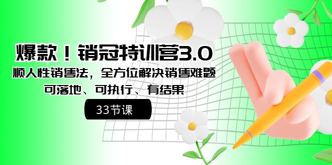 图片[1]-（8573期）爆款！销冠特训营3.0之顺人性销售法，全方位解决销售难题、可落地、可执…