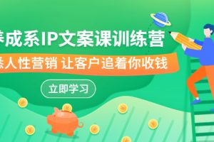（6900期）养成系-IP文案课训练营，文案心法的天花板 洞悉人性营销 让客户追着你收钱-麦资源网