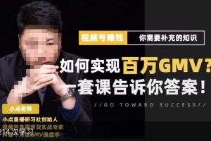 视频号变现进阶课，视频号六大变现模式，对平台的各项功能详细讲解，让你快速选择赛道-麦资源网