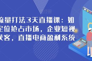新商业流量打法3天直播课：如何升级定位抢占市场，企业短视频精准获客，直播电商盈利系统-麦资源网