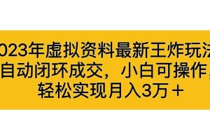 （6773期）2023年虚拟资料最新王炸玩法，自动闭环成交，小白可操作，轻松实现月入3…-麦资源网
