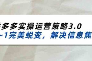 2024-2025拼多多实操运营策略3.0，0~1完美蜕变，解决信息焦虑（38节）-麦资源网