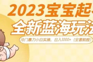 2023宝宝起名全新蓝海玩法，冷门暴力小白实操，日入1000+（全套教程）【揭秘】-麦资源网