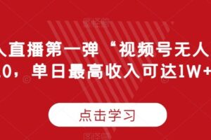 “无人直播第一弹“视频号无人直播2.0，单日最高收入可达1W+【揭秘】-麦资源网