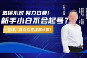 大左教您从0到1做直播带货，选择不对，努力白费，5小时课程搞定那点事，解决你起号问题-麦资源网