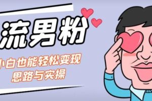 引流男粉+小白也能暴力变现的思路与实操【揭秘】-麦资源网