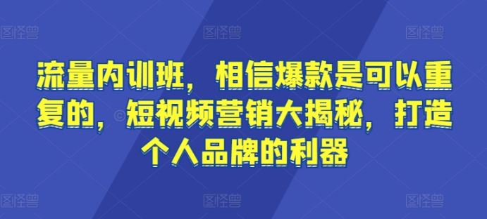 流量内训班，相信*是可以重复的，短视频营销大揭秘，打造个人品牌的利器