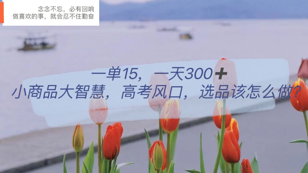 图片[1]-（6077期）一单15，一天300+，小商品大智慧，高考风口，选品该怎么布局