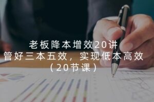 老板降本增效20讲，管好三本五效，实现低本高效（20节课）-麦资源网