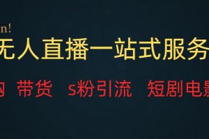 （7654期）无人直播全套服务，变现稳定-麦资源网