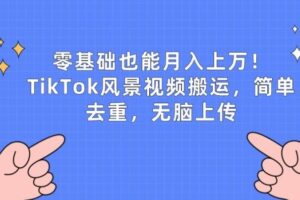 零基础也能月入上w，TikTok风景视频搬运，简单去重，无脑上传【揭秘】-麦资源网