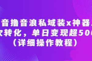 抖音撸音浪私域装x神器二次转化，单日变现超500（详细操作教程）【揭秘】-麦资源网
