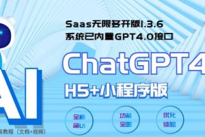 （5811期） Saas无限多开版ChatGPT小程序+H5，系统已内置GPT4.0接口，可无限开通坑位-麦资源网