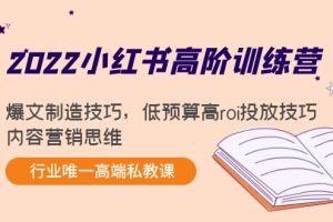 （4119期）2022小红书高阶训练营：爆文制造技巧，低预算高roi投放技巧，内容营销思维-麦资源网