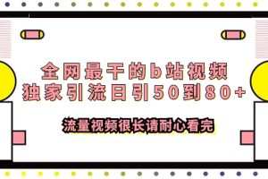 （7858期）全网最干的b站视频独家引流日引50到80+流量视频很长请耐心看完-麦资源网