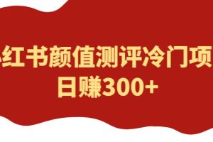 外面1980的项目，小红书颜值测评冷门项目，日赚300+【揭秘】-麦资源网