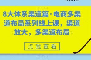 8大体系渠道篇·电商多渠道布局系列线上课，渠道放大，多渠道布局-麦资源网