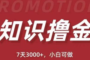 抖音知识撸金项目:简单粗暴日入1000+执行力强当天见收益(教程+资料)-麦资源网