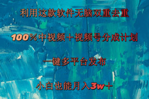 （11710期）利用这款软件无脑双重去重 100％中视频＋视频号分成计划 小白也能月入3w＋-麦资源网