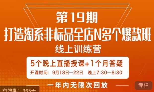 打造淘系非标全店N多个*线上课，​5天直播课