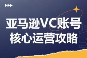 亚马逊VC账号核心玩法解析，实战经验拆解产品模块运营技巧，提升店铺GMV，有效提升运营利润-麦资源网