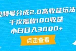 （9716期）视频号分成2.0高收益玩法，千次播放100收益，小白日入3000+-麦资源网