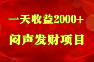 闷声发财，一天收益2000+，到底什么是赚钱，看完你就知道了-麦资源网