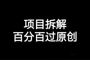 （7001期）项目拆解百分百过原创，解决项目拆解赛道难过原创的问题-麦资源网