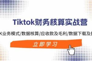 Tiktok财务核算实战营：TK业务模式/数据核算/应收款及毛利/数据下载及报表-麦资源网