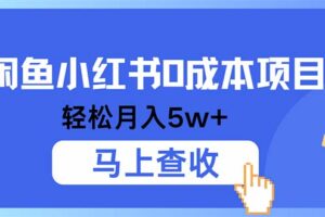 （12777期）小鱼小红书0成本项目，利润空间非常大，纯手机操作-麦资源网