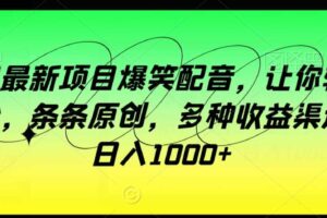 龙年最新项目爆笑配音，让你轻松涨粉，条条原创，多种收益渠道，日入1000+【揭秘】-麦资源网