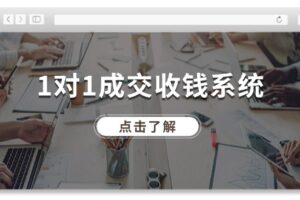 （11936期）1对1成交 收钱系统，十年专注于引流和成交，全网130万+粉丝-麦资源网