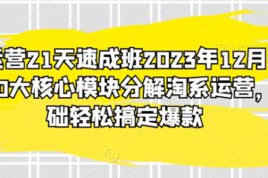 淘系运营21天速成班2023年12月完整版，10大核心模块分解淘系运营，0基础轻松搞定爆款-麦资源网