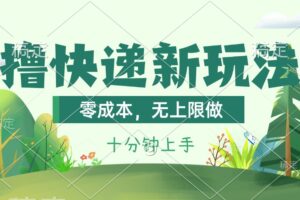 （11365期）撸快递最新玩法，零成本，无上限做，日产1000+。课程看完就会-麦资源网
