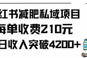 （9466期）小红书减肥私域项目每单收费210元单日成交20单，最高日入4200+-麦资源网