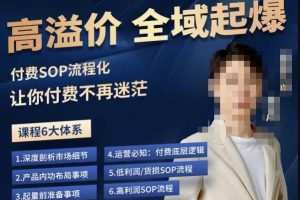 逸风-拼多多高溢价全域起爆，6大课程体系，付费玩法全套实操-麦资源网