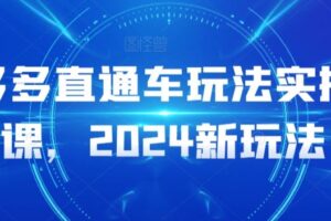 多多直通车玩法实操课，2024新玩法-麦资源网