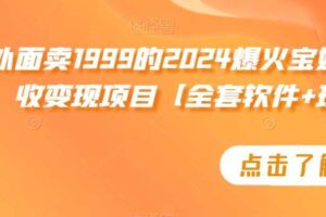 外面卖1999的2024爆火宝妈粉回收变现项目【全套软件+玩法】【揭秘】-麦资源网