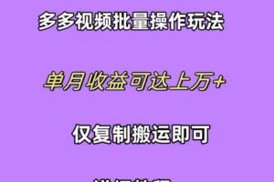 （10029期）拼多多视频带货快速过爆款选品教程 每天轻轻松松赚取三位数佣金 小白必…-麦资源网