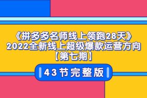 （3369期）《拼多多名师线上领跑28天》2022全新线上超级爆款运营方向【第七期】43节课-麦资源网