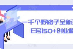 一千个野路子全新玩法,日引50+创业粉【揭秘】-麦资源网