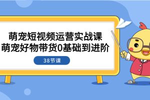 （7915期）萌宠·短视频运营实战课：萌宠好物带货0基础到进阶（38节课）-麦资源网