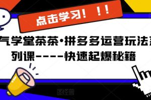 牛气学堂茶茶•拼多多运营玩法系列课—-快速起爆秘籍-麦资源网