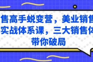 销售高手蜕变营，美业销售高手实战体系课，三大销售体系带你破局-麦资源网