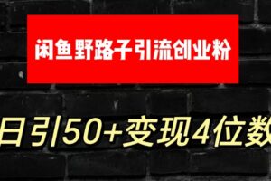 大眼闲鱼野路子引流创业粉，日引50+单日变现四位数-麦资源网