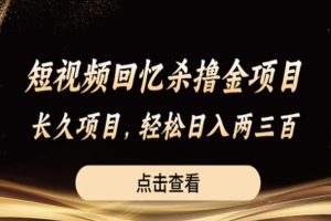 短视频回忆杀撸金项目，长久项目，轻松日入两三张【揭秘】-麦资源网