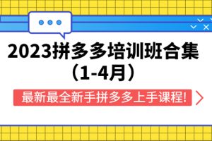 （5684期）2023拼多多培训班合集（1-4月），最新最全新手拼多多上手课程!-麦资源网