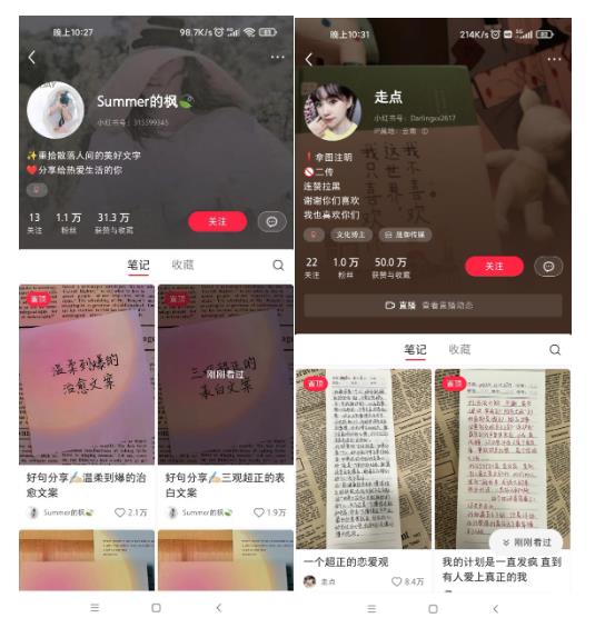 AI批量制造小红书*笔记+小红书无货源，玩法一条龙实操，小白也能轻松日入500+【揭秘】